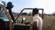 David - Save the Elephnats2_thumb.jpg